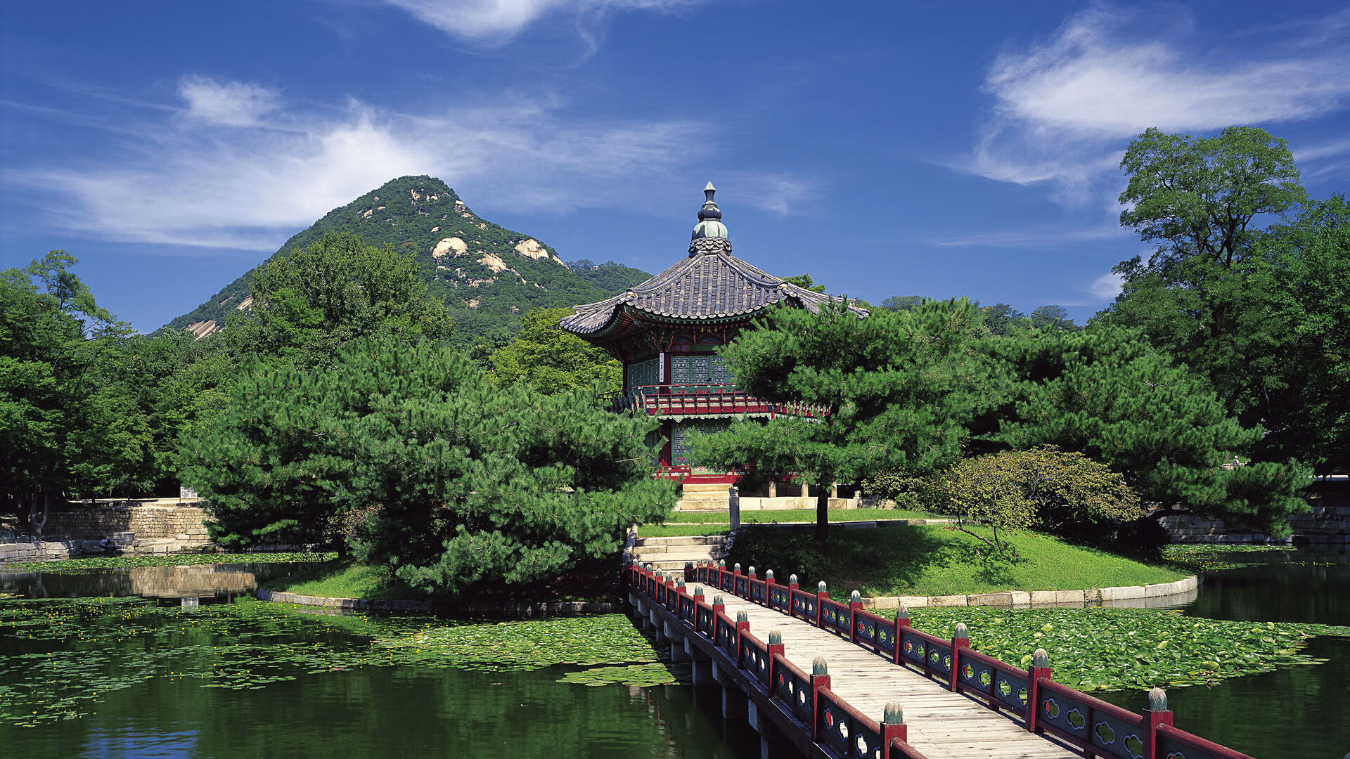 詹姆斯闪耀全场！上海力克奇才获关键胜利