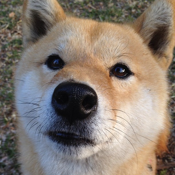 情歌球场的阿根廷惊雷，阿圭罗拯救黄色潜水艇生死战