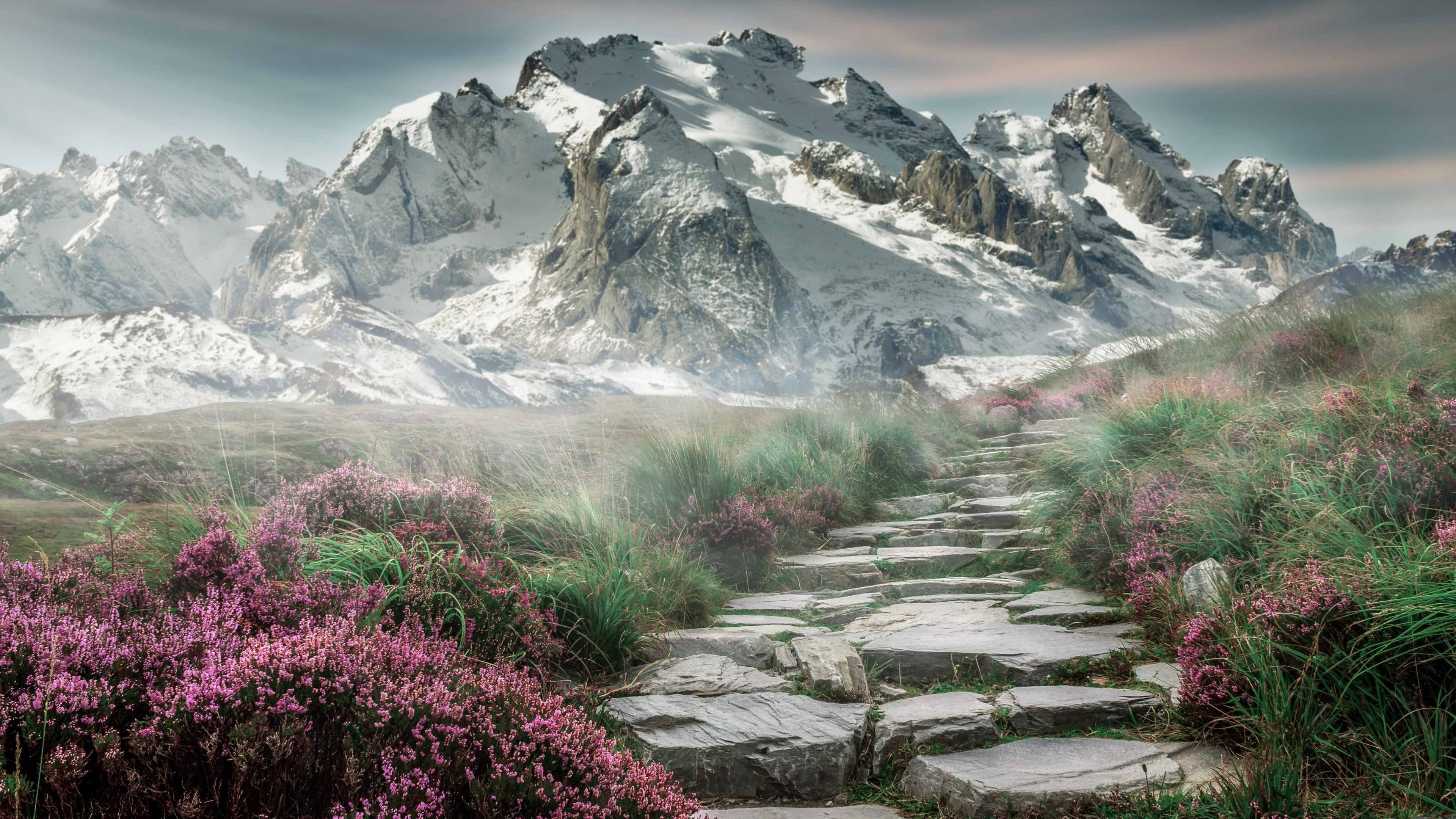 强压风暴眼，尼斯窒息式逼抢与哈弗茨的致命寒光